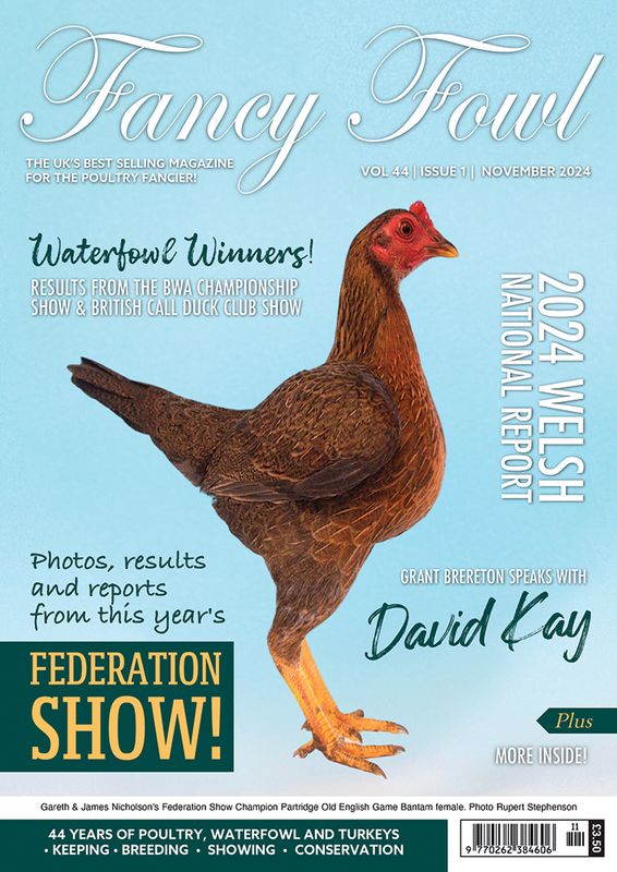 Fancy Fowl - November 2024