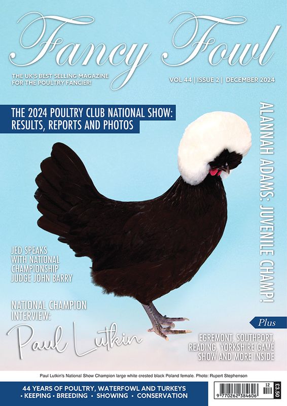Fancy Fowl - December 2024