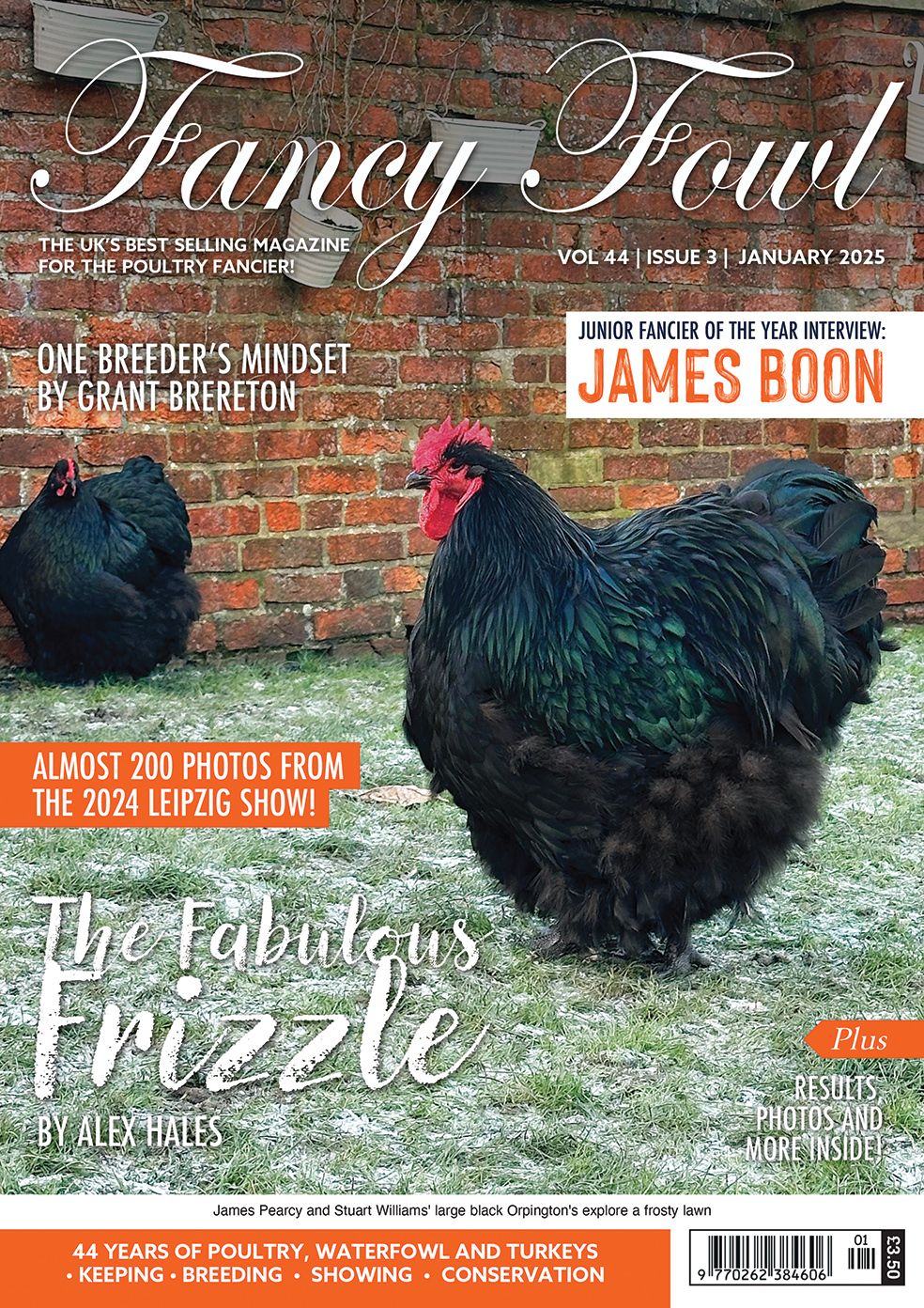 Fancy Fowl - January 2025