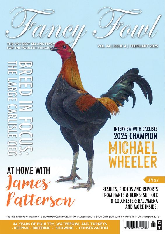Fancy Fowl - February 2025