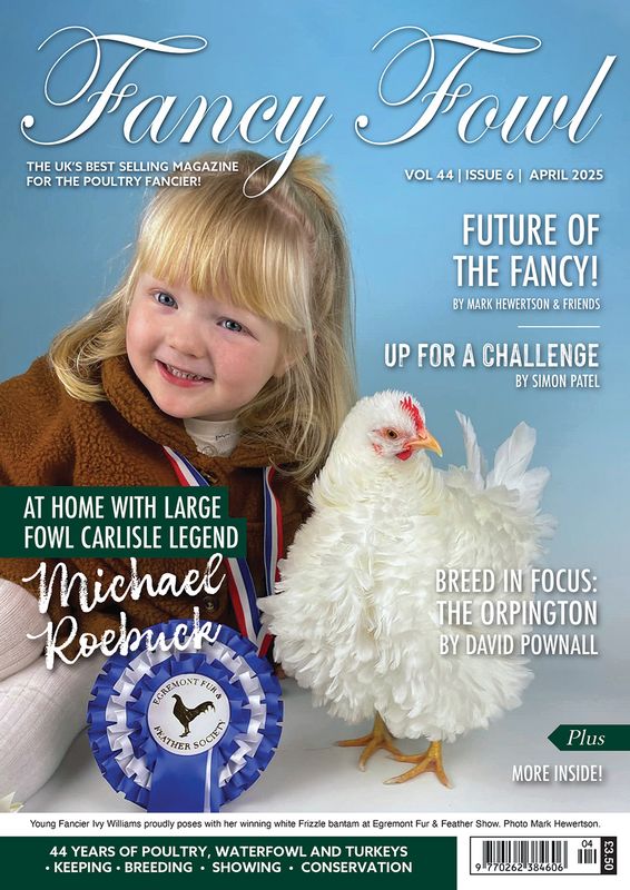 Fancy Fowl - April 2025