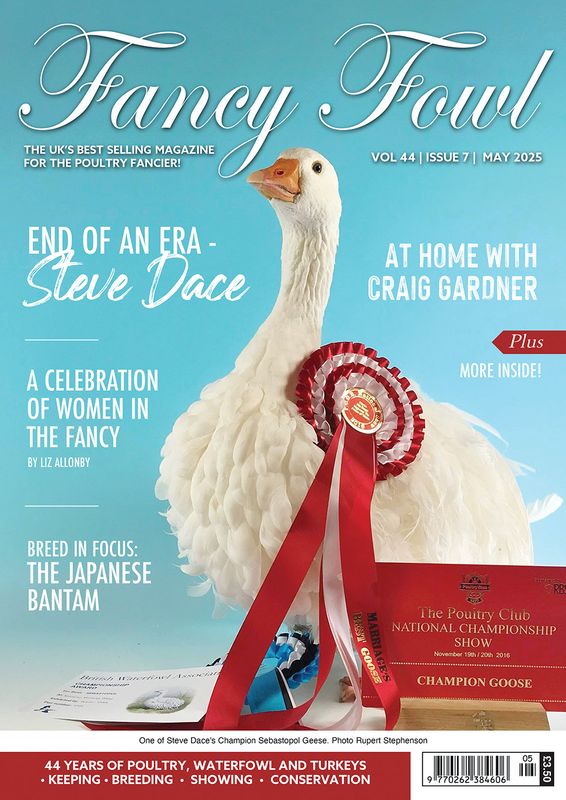 Fancy Fowl - May 2025