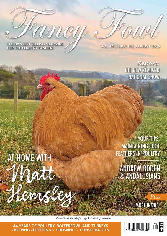 Fancy Fowl - August 2025