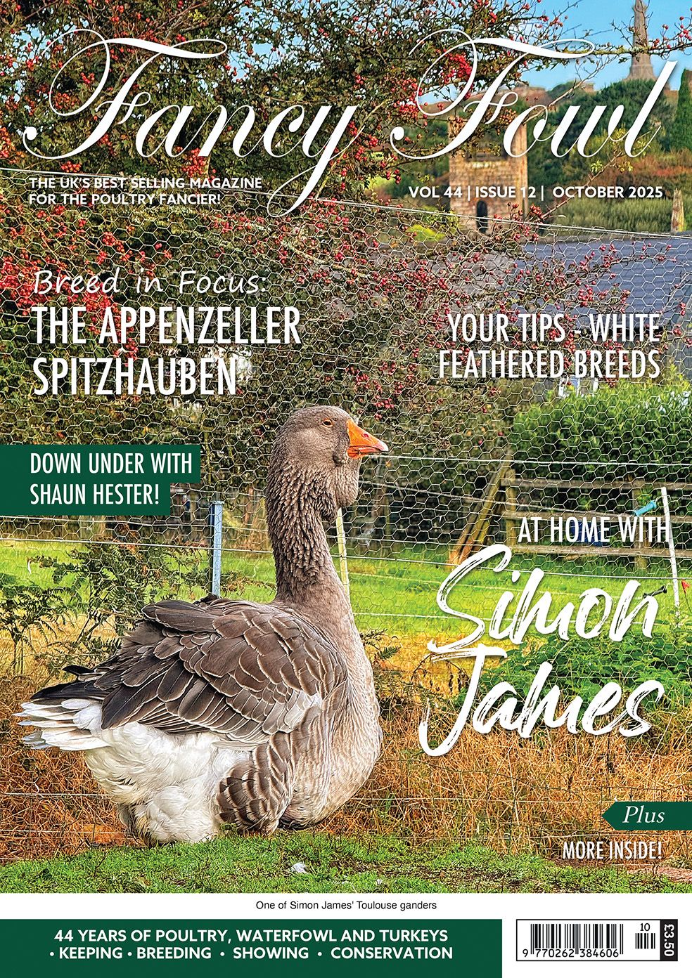 Fancy Fowl - October 2025