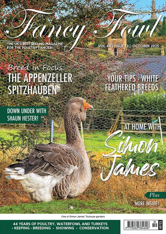 Fancy Fowl - October 2025