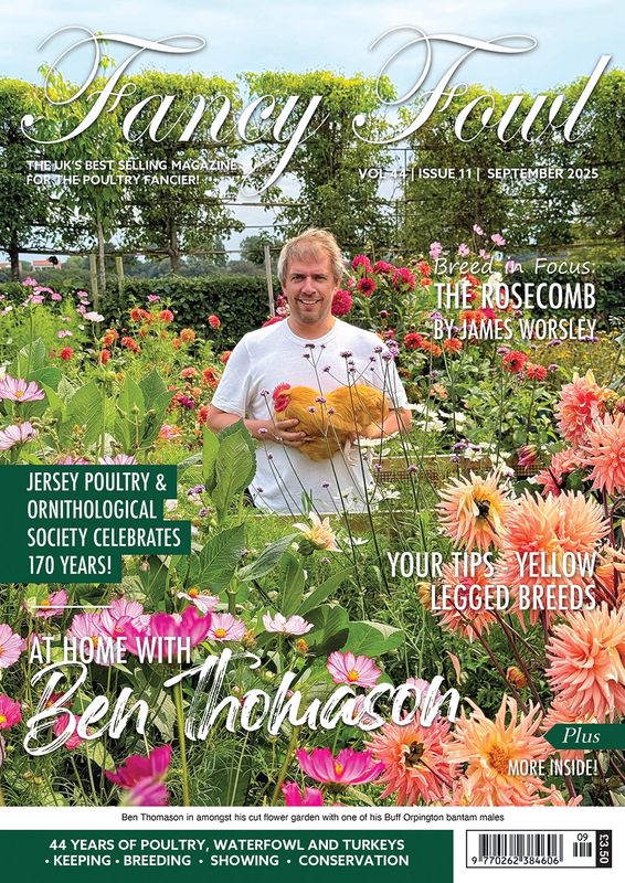 Fancy Fowl - September 2025