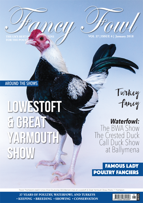 Fancy Fowl January 2018
