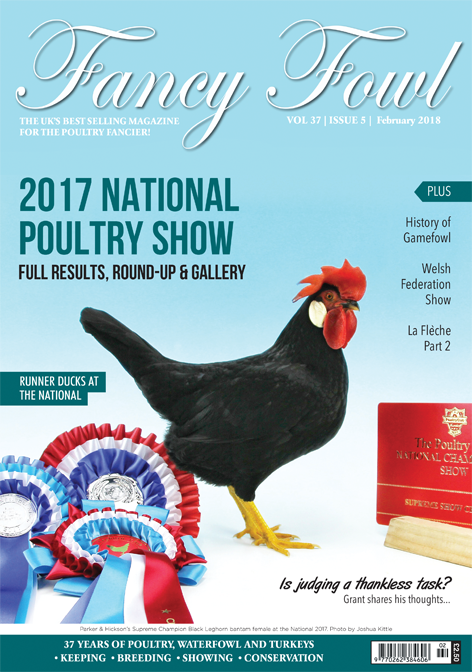 Fancy Fowl February 2018