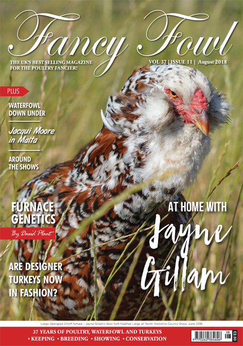 Fancy Fowl August 2018
