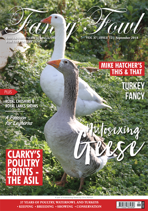 Fancy Fowl September 2018