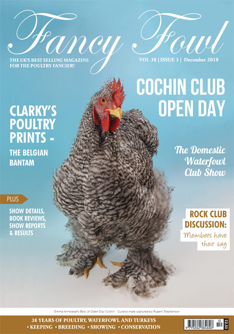 Fancy Fowl December 2018
