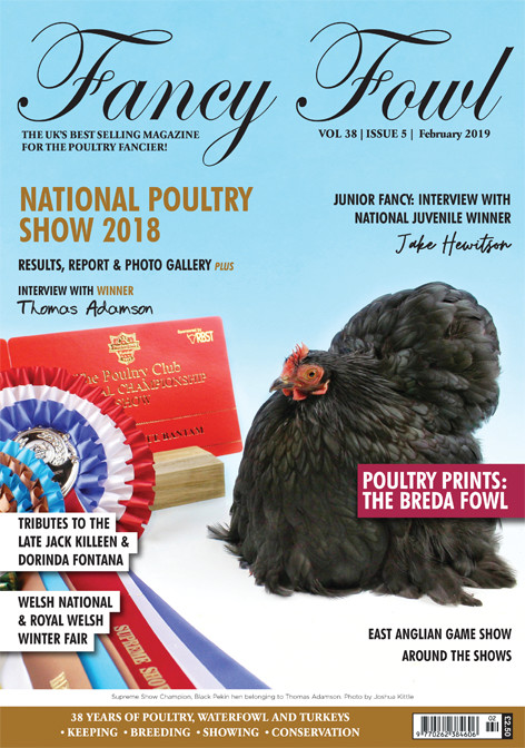 Fancy Fowl February 2019