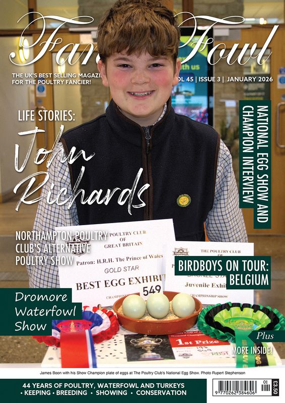 Fancy Fowl - January 2026