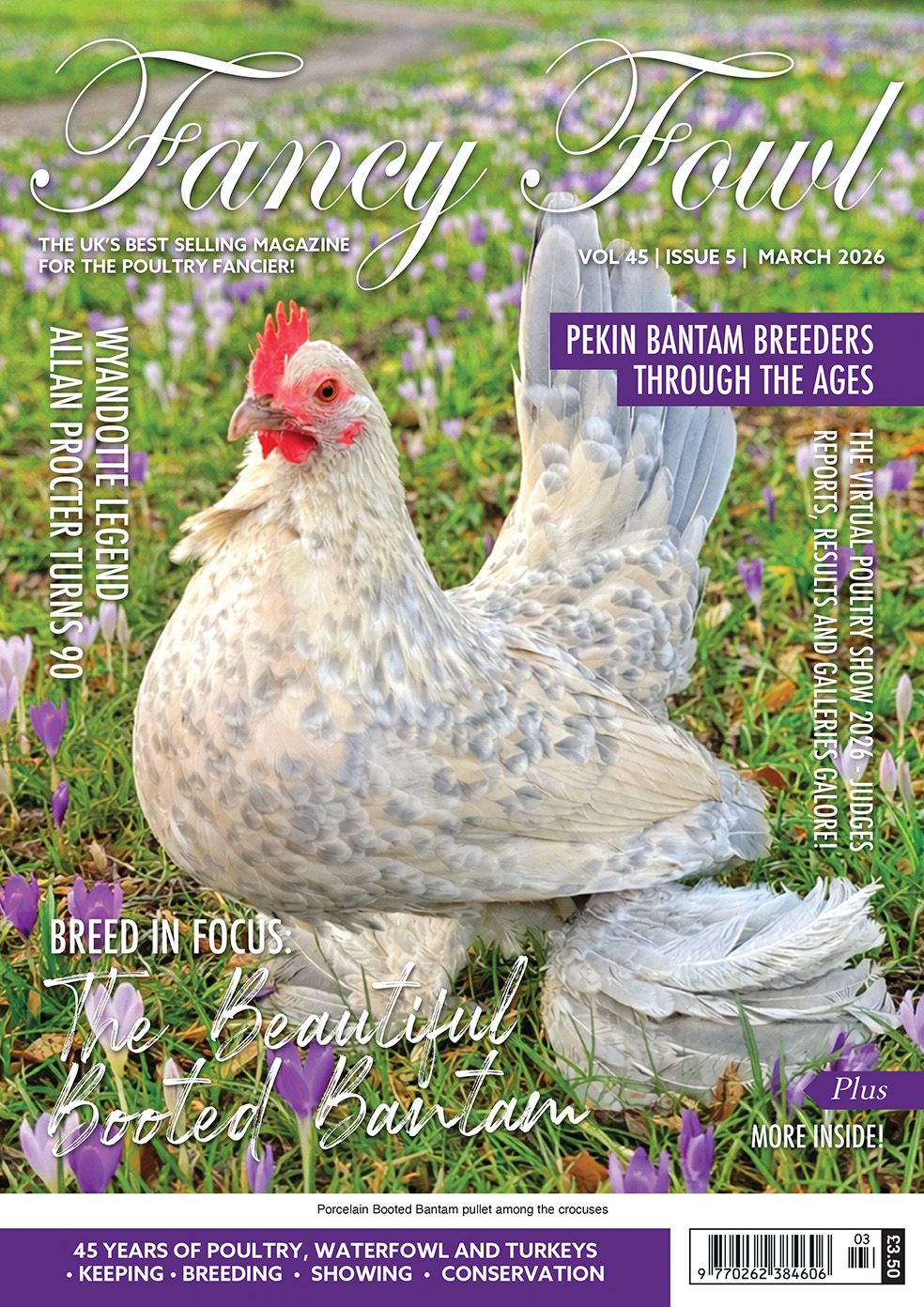 Fancy Fowl - March 2026