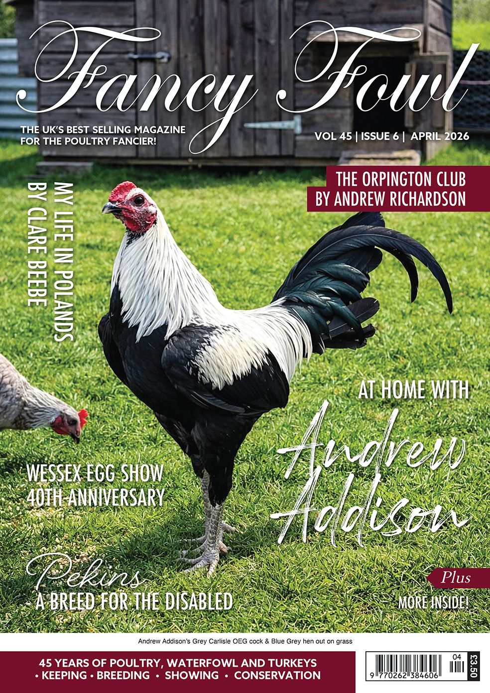Fancy Fowl - April 2026