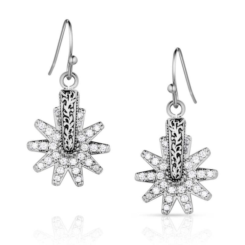 ER5823 MONTANA SILVERSMITHS SPUR OF THE MOMENT CZ EARRINGS
