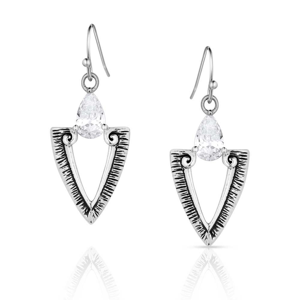 ER5773 MONTANA SILVERSMITHS GUIDED PURPOSE CZ EARRINGS