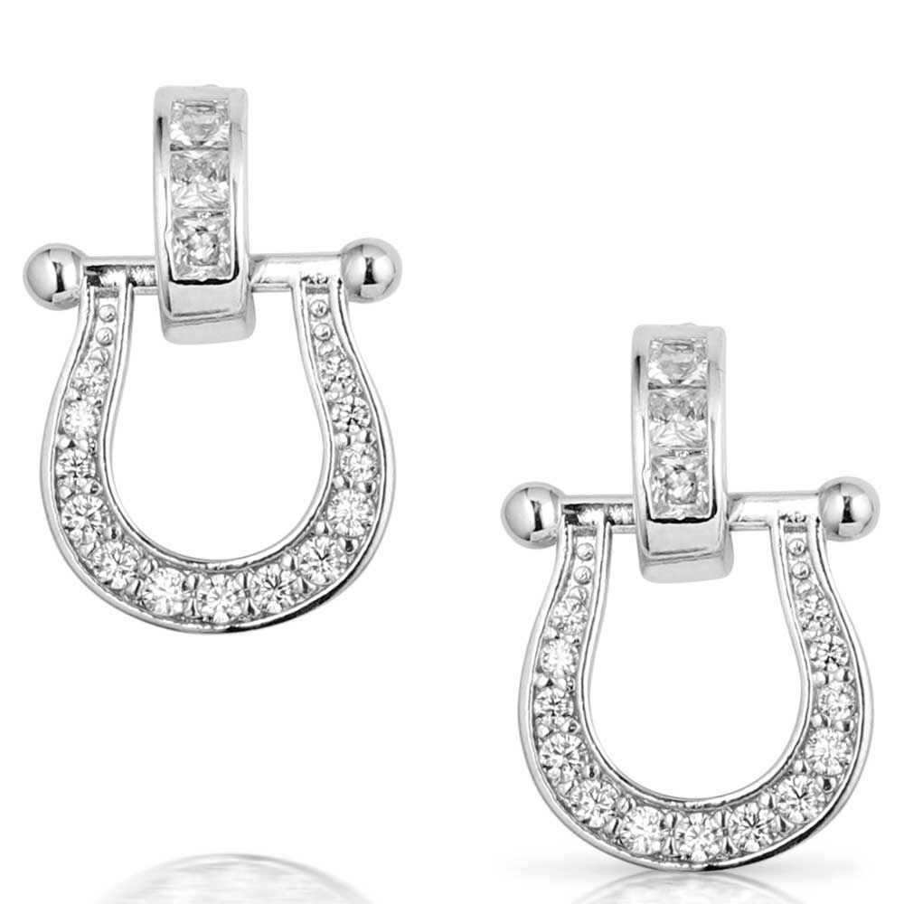 ER5824 MONTANA SILVERSMITHS RIDE IN STYLE CZ EARRINGS