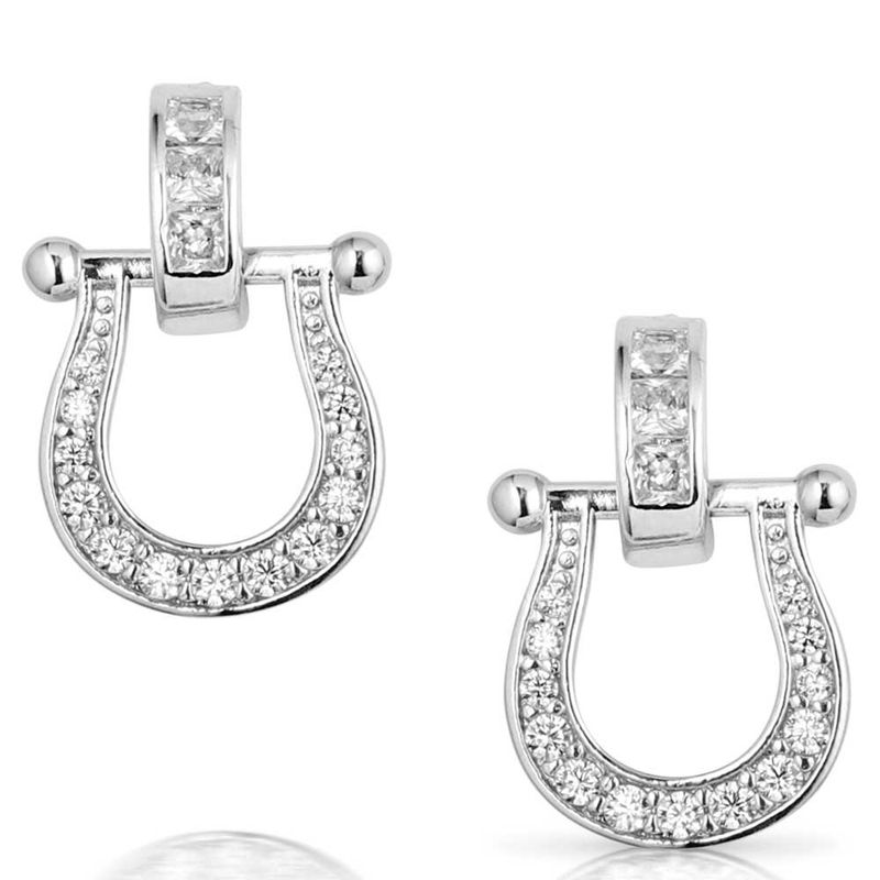 ER5824 MONTANA SILVERSMITHS RIDE IN STYLE CZ EARRINGS