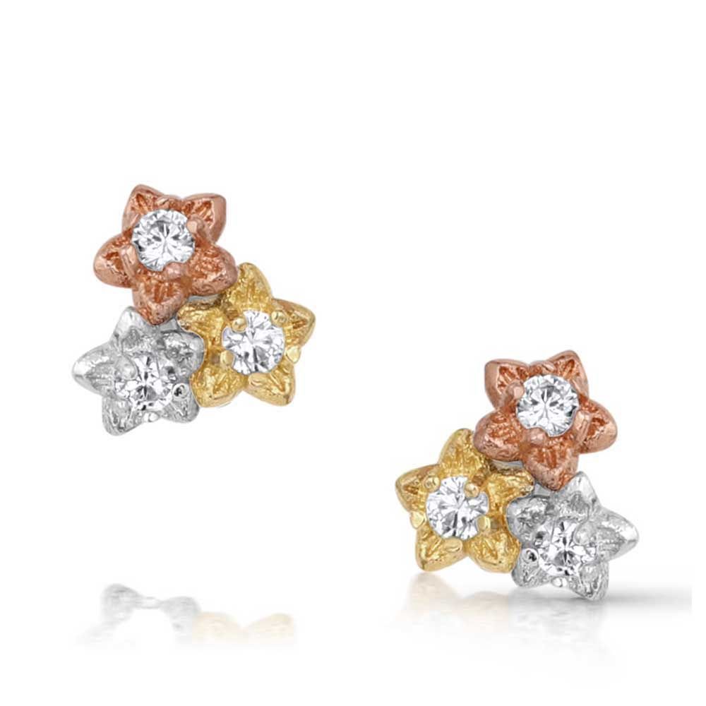 ER5800 MONTANA SILVERSMITHS WILDFLOWER MEADOW