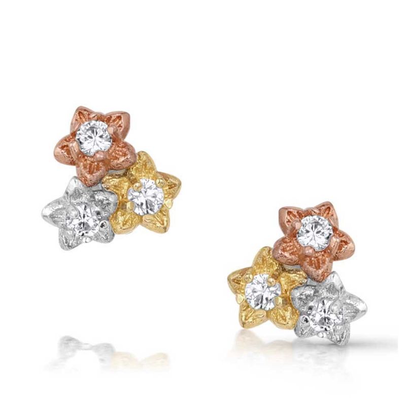 ER5800 MONTANA SILVERSMITHS WILDFLOWER MEADOW