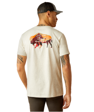 10052571 MEN&#39;S ARIAT BISON LANDSCAPE SHORT-SLEEVE T-SHIRT - OATMEAL HEATHER