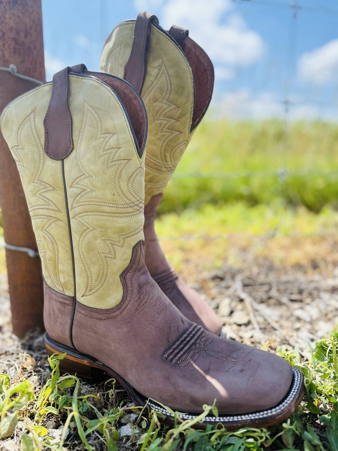 L5955 MEN&#39;S CIRCLE G CHOCOLATE/GREEN SQUARE TOE WESTERN BOOT