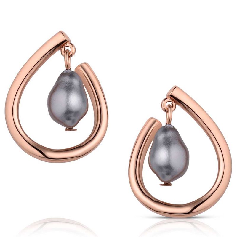 ER5955 MONTANA SILVERSMITHS ELEGANT AURA EARRINGS