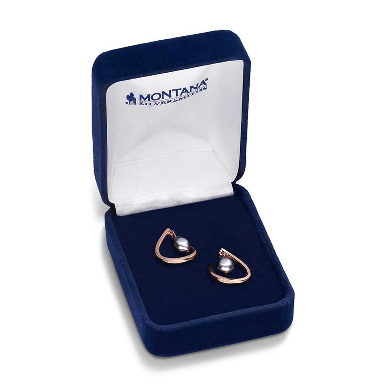 ER5955 MONTANA SILVERSMITHS ELEGANT AURA EARRINGS