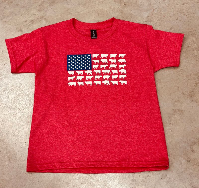 330865-204-K YOUTH COWBOY HARDWARE CATTLE FLAG SHORT-SLEEVE TEE - HEATHER RED
