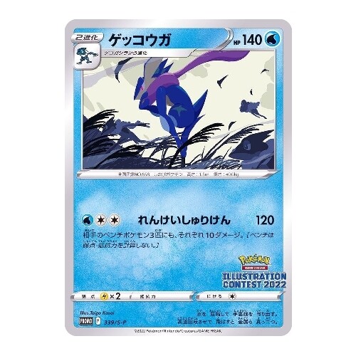 CARTE POKEMON PROMO 339/S-P