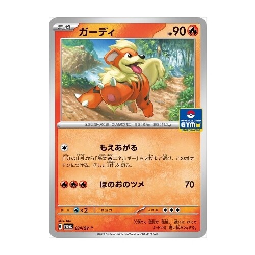 CARTE POKÉMON 024/SV-P