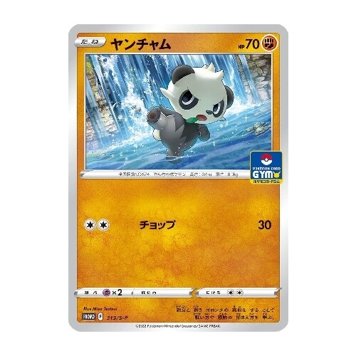 CARTE POKÉMON 313/S-P