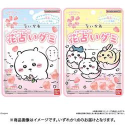 バンダイキャンディ ちいかわ 花占いグミ（1個） [コレクション食玩]