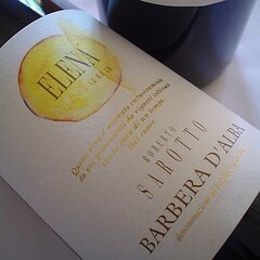 Barbera Elena Sarotto 2023