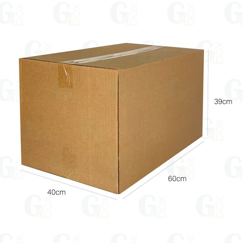 Caja Corrugada Grande (1 und)