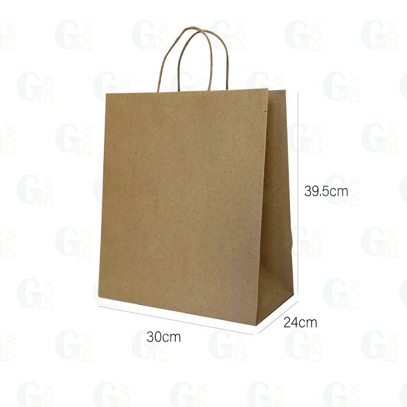 Bolsa kraft BIO 65 manigueta (Se vende por UNIDAD)