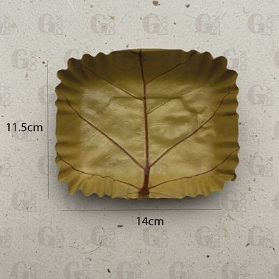 BANDEJA DE HOJA 5x6 (Paquete 25 unidades) BANDEJA DE HOJA 5x6 (Paquete 25 unidades)