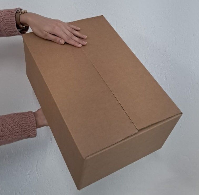 Caja corrugada 4787