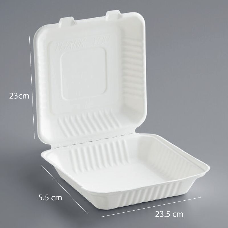 Clamshell 9x9 Bagazo sin división (Paquete de 25 unidades)