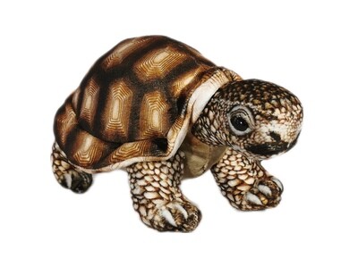 Plüsch Landschildkröte