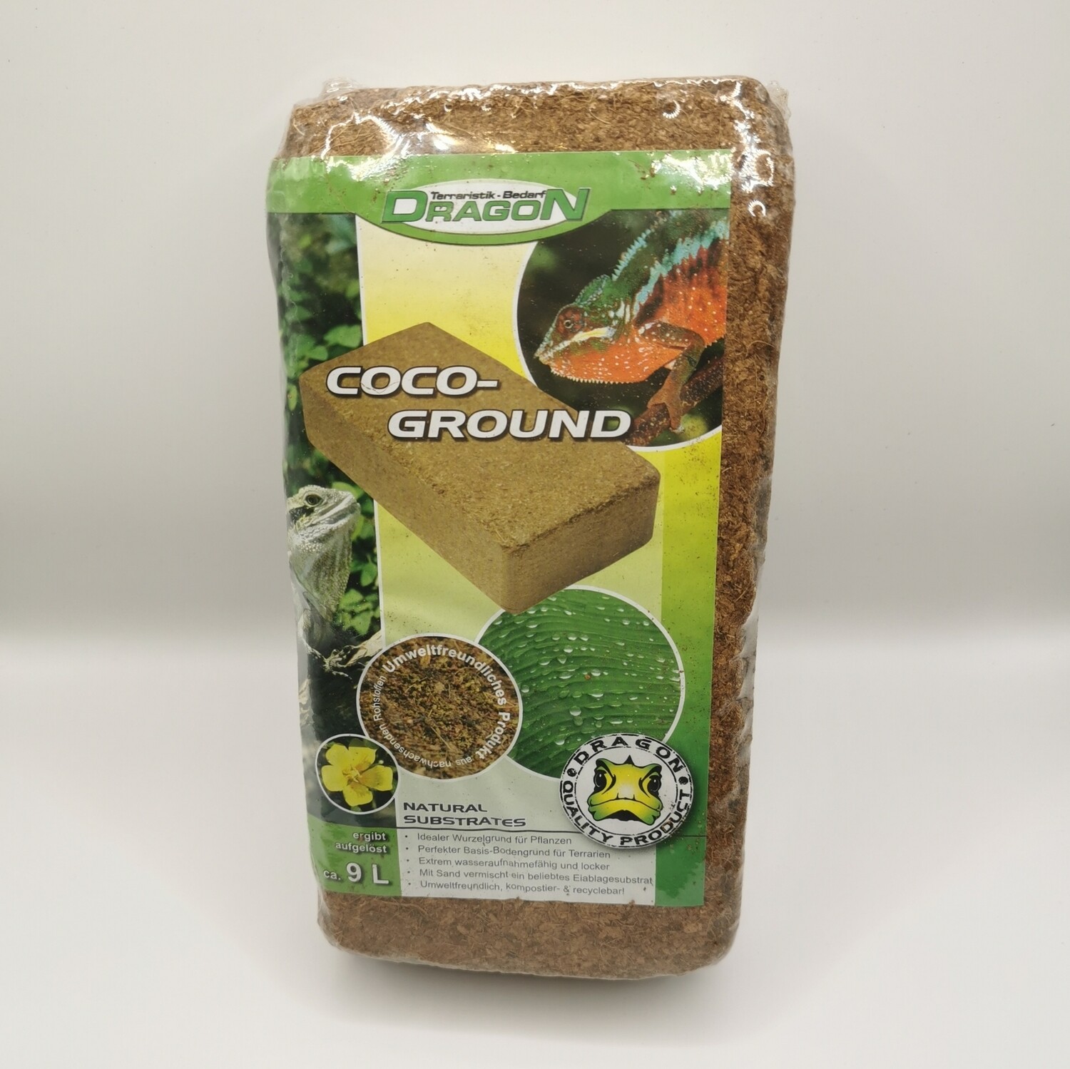 Coco Ground Dragon