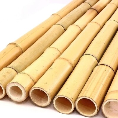 Bambusstangen S