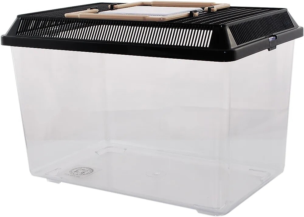 PET-PLAZA Kunststoffbox M