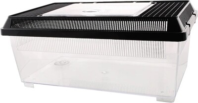 PET-PLAZA FLAT Kunststoffbox Flach L