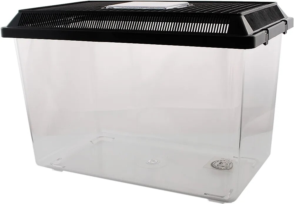 PET-PLAZA Kunststoffbox L