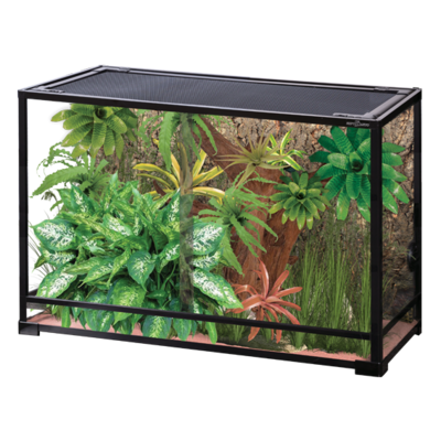 Repti planet Terrarium