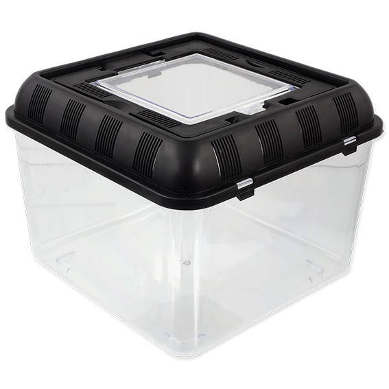 REPTI PLANET Kunststoffbox 26x26x20cm
