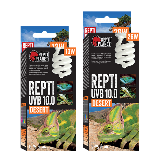 Reptilien Sparlampe UVB 10.0
