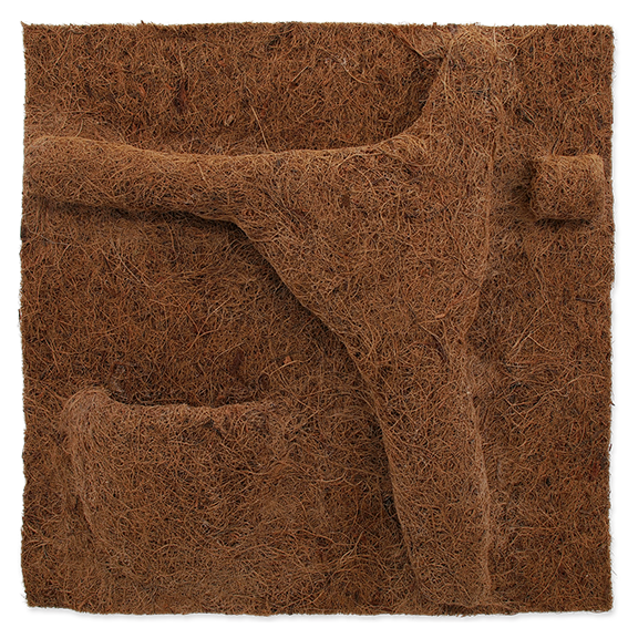 Coco Planter Repti Planet